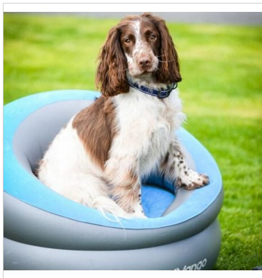 INFLATABLE DONUT FLOCKED CHAIR
